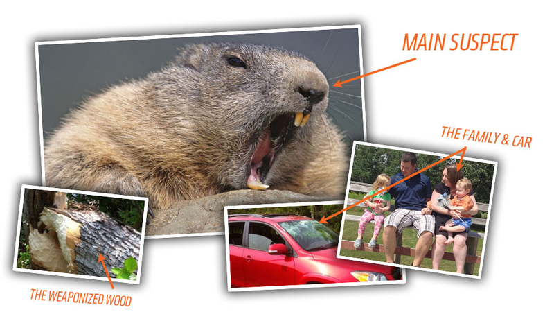 Illustration for article titled Evil Beaver Attempts To Kill Family By Dropping A Tree On Their Car